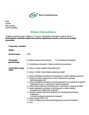 Cash Loan Application Form