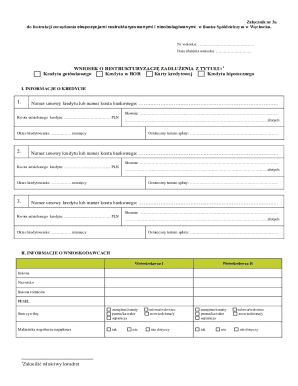 Loan Restructuring Application Form