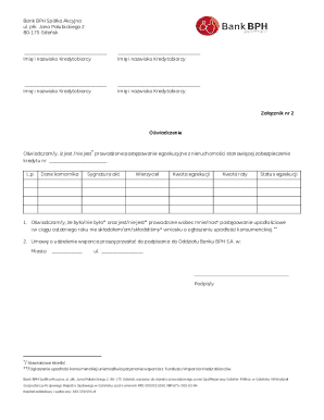 Bank BPH Loan Declaration Form