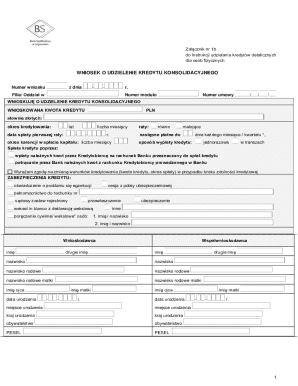 Consolidation Loan Application