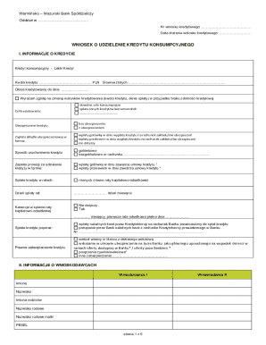 Consumer Loan Application Form