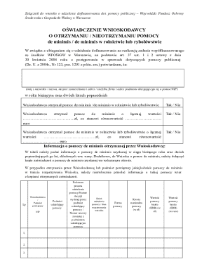 De Minimis Aid Declaration Form