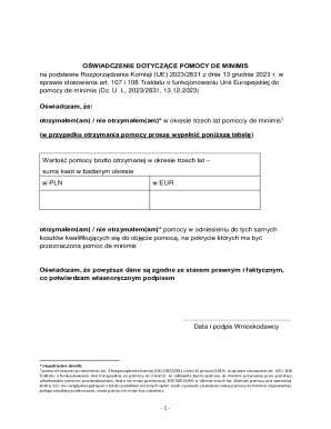 EU De Minimis Aid Declaration Form