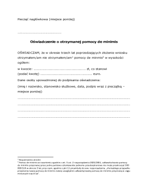 De Minimis Aid Declaration Form