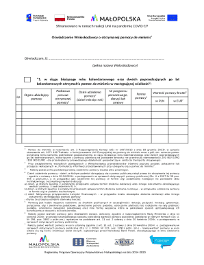EU De Minimis Aid Declaration Form
