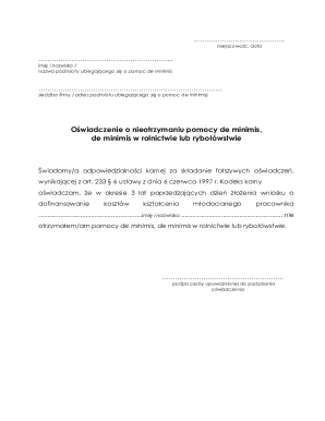 De Minimis Aid Declaration Form