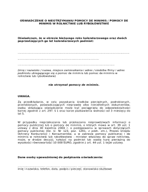 De Minimis Aid Declaration Form