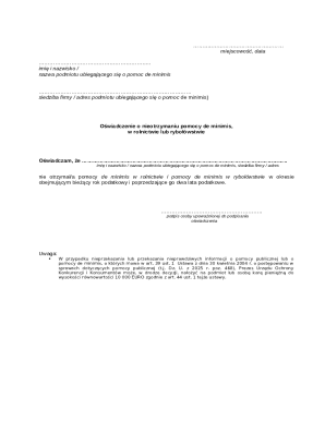 De Minimis Aid Declaration Form