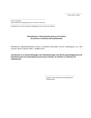 De Minimis Aid Declaration Form