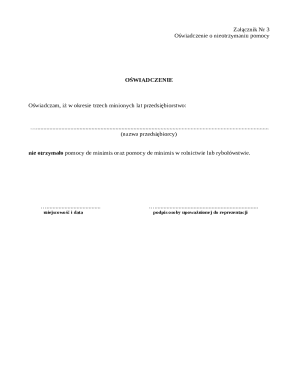 Declaration of Non-Receipt of De Minimis Aid