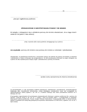 De Minimis Aid Declaration Form