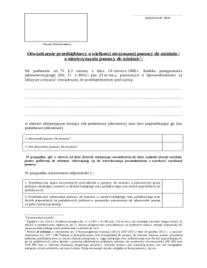 De Minimis Aid Declaration Form