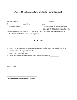 Italian Judicial Record Self-Certification Form
