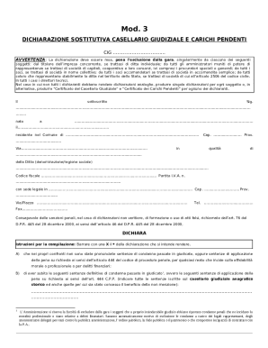 Italian Judicial Record Declaration Form