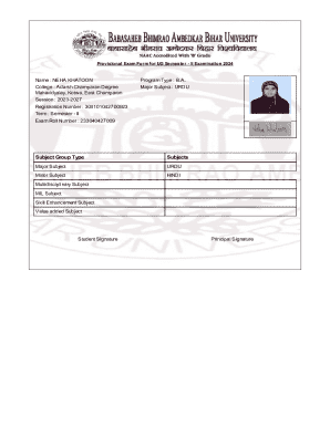 Provisional Exam Form for UG Semester II Examination 2024