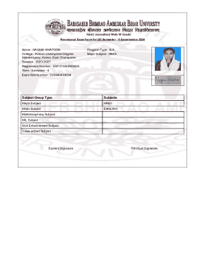 Provisional Exam Form for UG Semester II