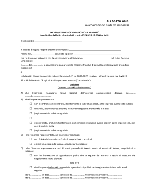 De Minimis Aid Declaration Form