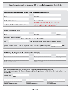 Erziehungsbeauftragung Form