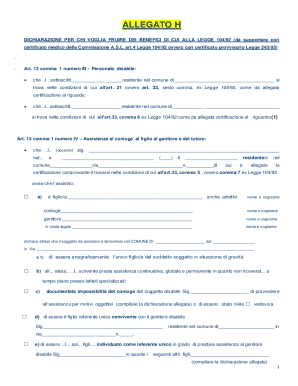 Italian Disability Benefits Declaration Form