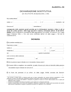 Italian Law 104 Assistance Declaration Form