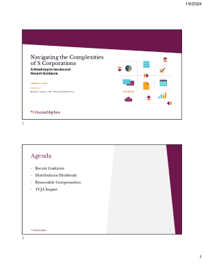 S Corporation Guidance and Recent Updates