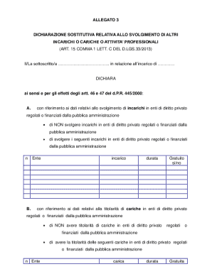 Dichiarazione Sostitutiva Relativa allo Svolgimento di Altri Incarichi o Cariche o Attività Professionali