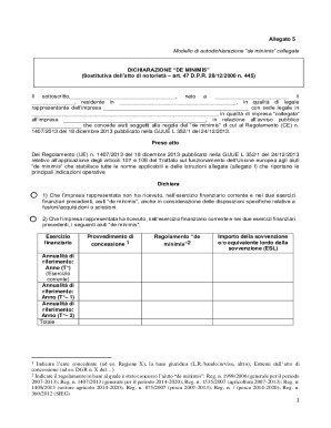 De Minimis Self-Declaration Form