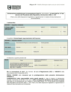 Allegato B1 - De Minimis Aid Declaration Form