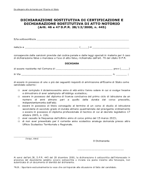 Italian State Exam Declaration Form