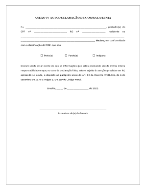 Brazil Race/Ethnicity Self-Declaration Form