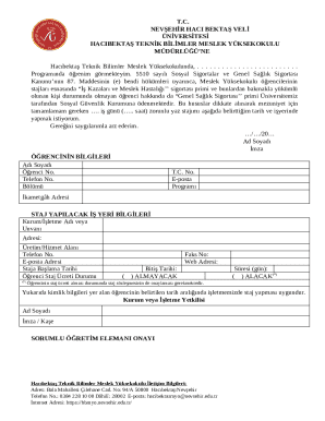 Turkish Student Internship Application Form