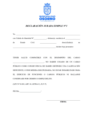 Chilean Simple Affidavit Form 1