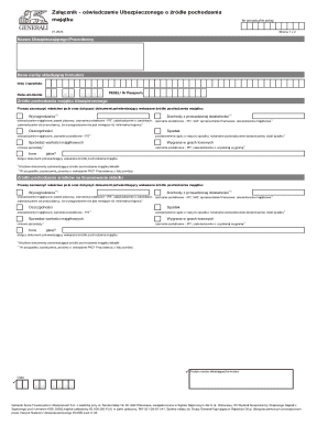 Insurance Policy Asset Source Declaration Form