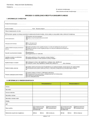 Consumer Loan Application Form