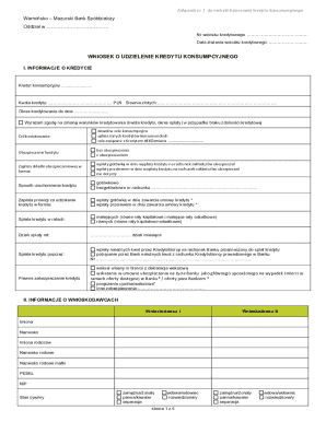 Consumer Loan Application Form