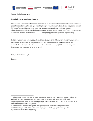 De Minimis Aid Declaration Form