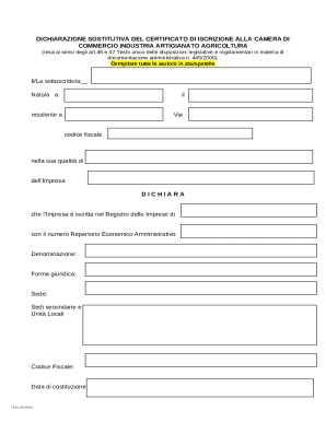 Italian Business Registration Declaration Form