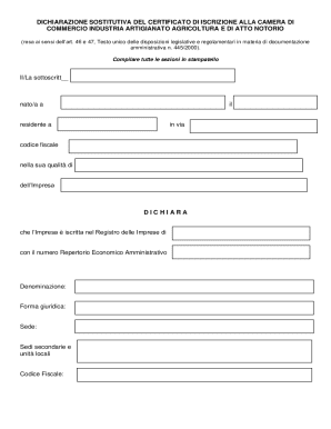 Italian Business Registration Declaration