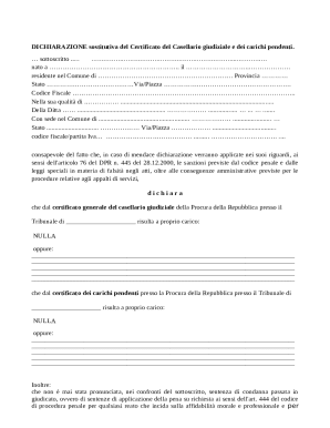 Italian Criminal Record Declaration Form