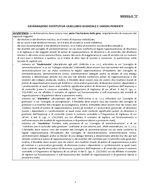 Italian Judicial Record Declaration Form
