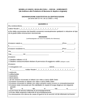 Italian Civil Disability Declaration Form
