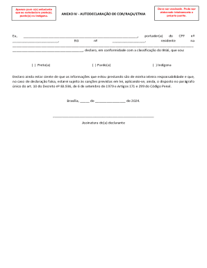 Self-Declaration of Race/Ethnicity Form