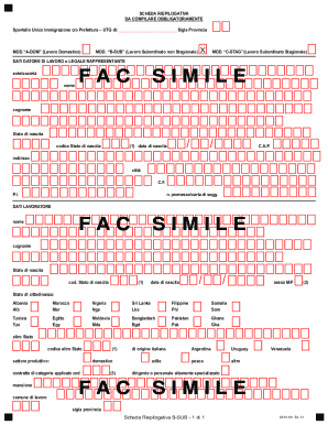 Italian Work Permit Application Form