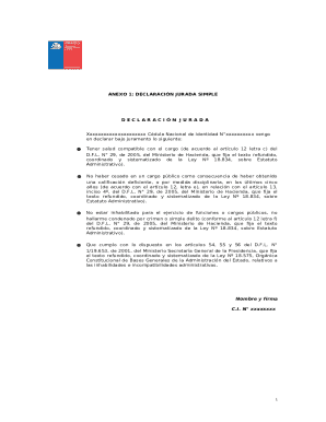 Chile Affidavit Form