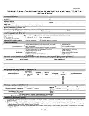 Business Credit Card Limit Application