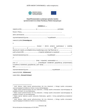 Energy Audit Contract Template