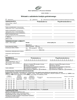 Cash Loan Application Form