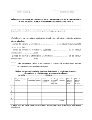 De Minimis Aid Declaration Form