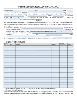 ATA Cumulative Personal Declaration
