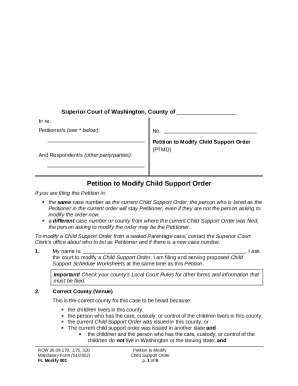 Washington Child Support Order Modification Petition